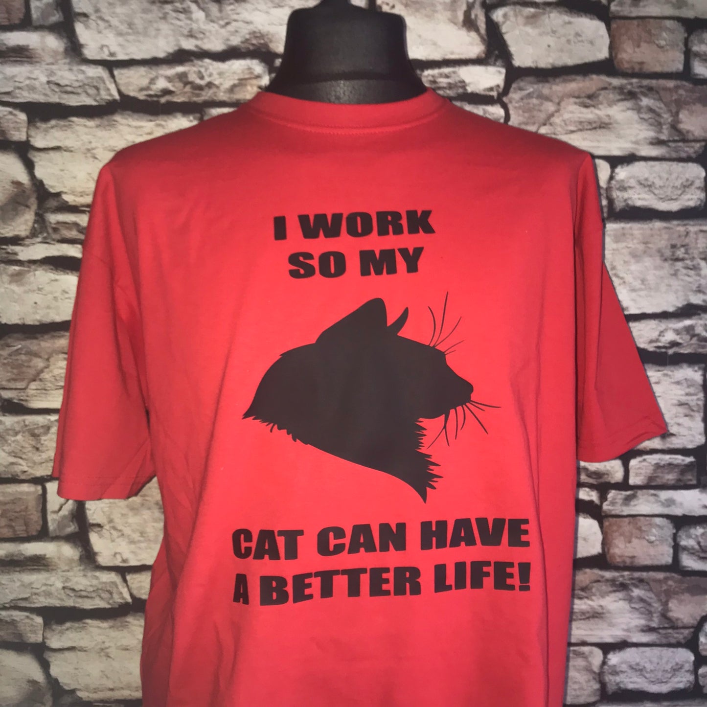 I work so my cat can have a better life