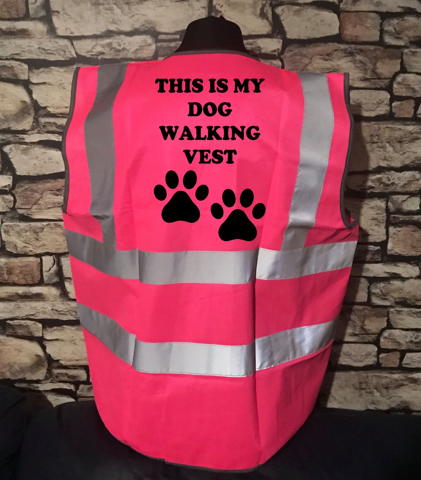 This is my dog walking vest