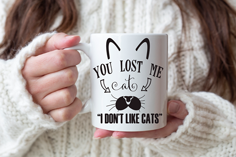 You lost me at I don’t like cats