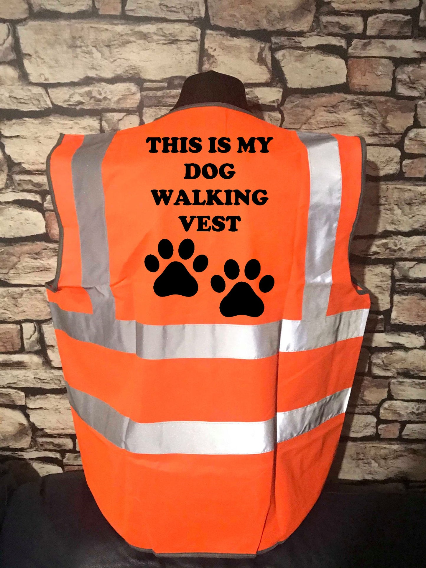 This is my dog walking vest