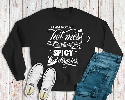 I’m not a hot mess I’m a spicy disaster