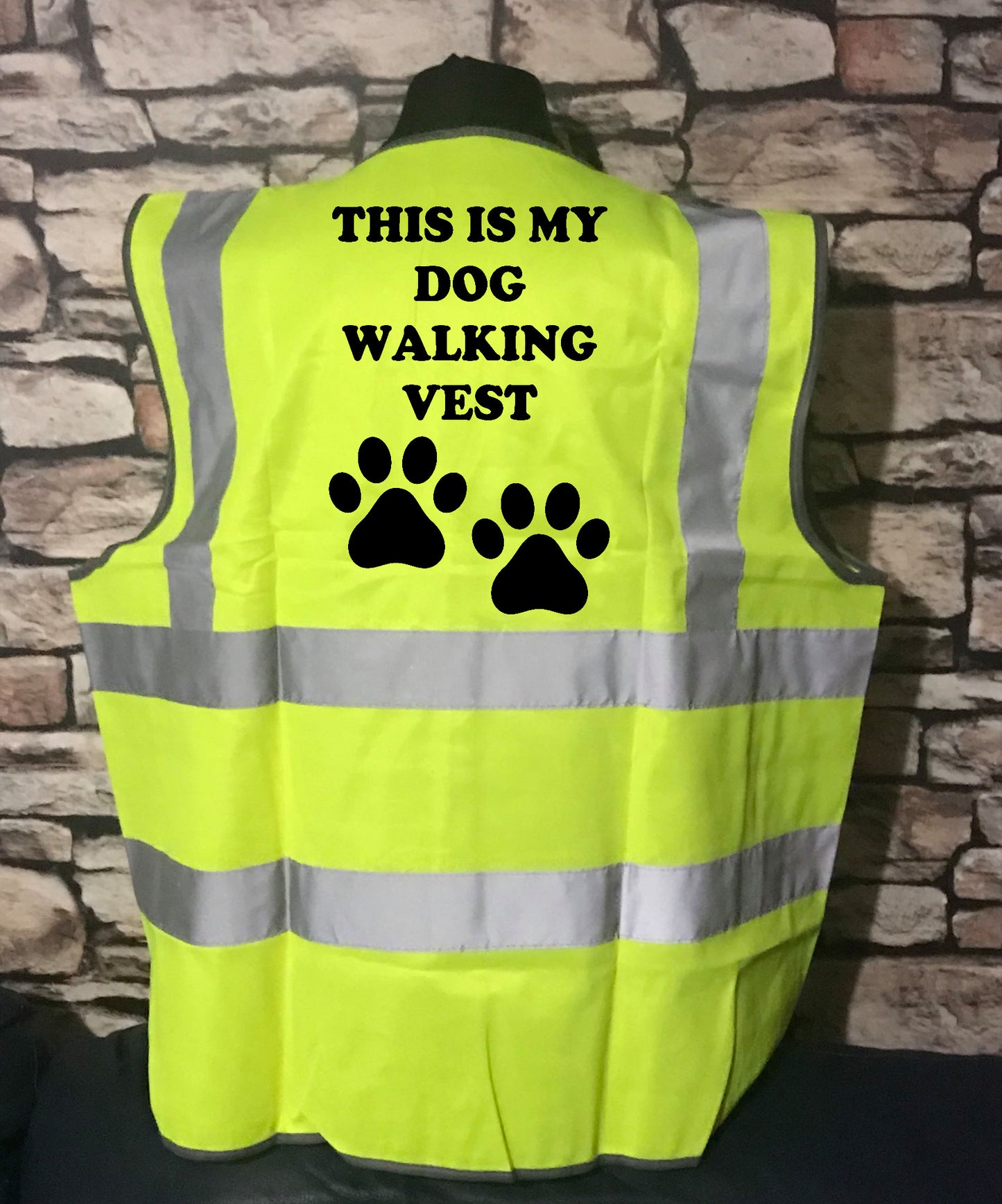 This is my dog walking vest