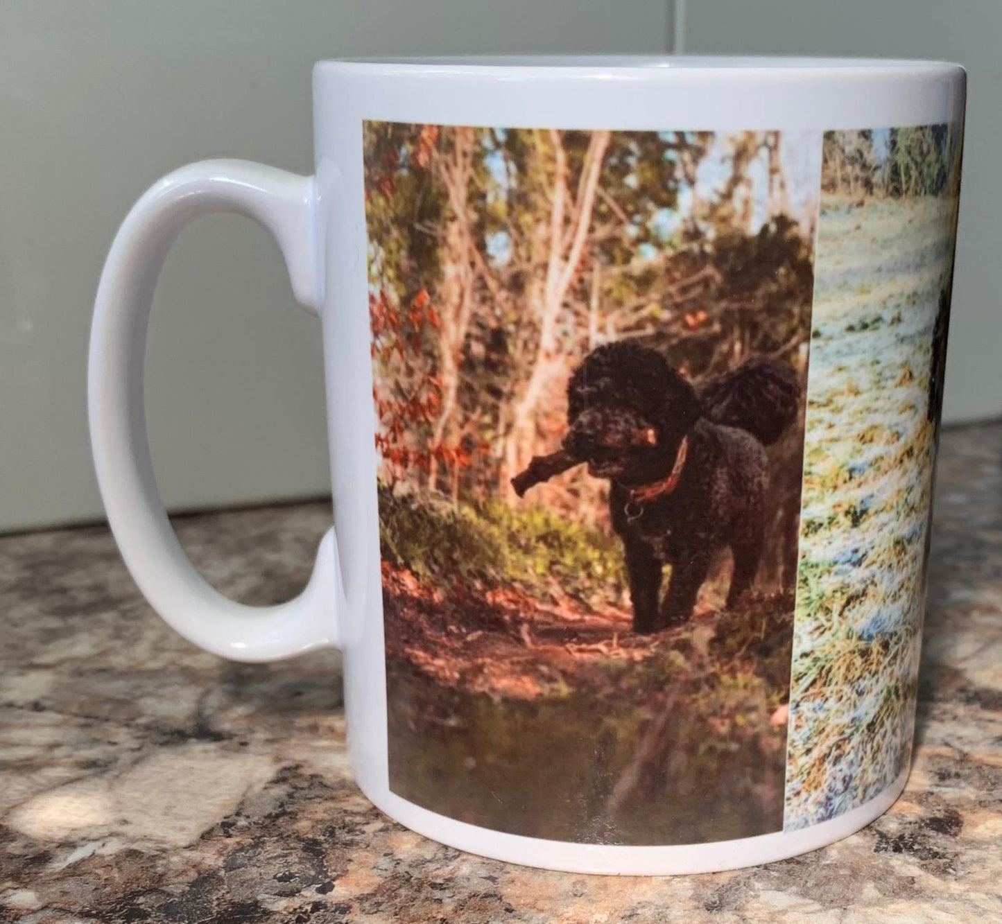 Photo printed mug