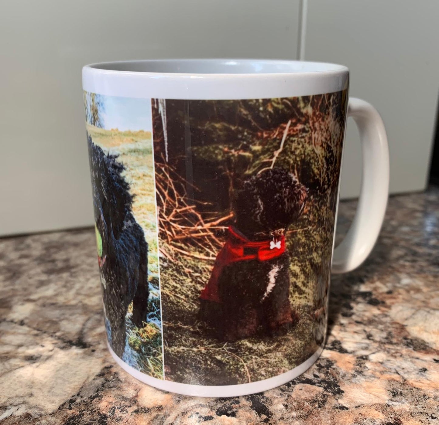 Photo printed mug