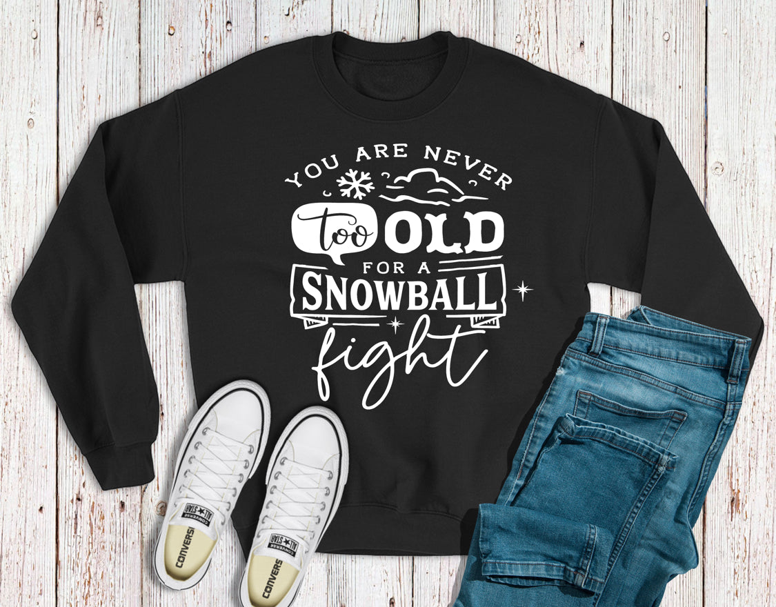 You are never too old for a snowball fight